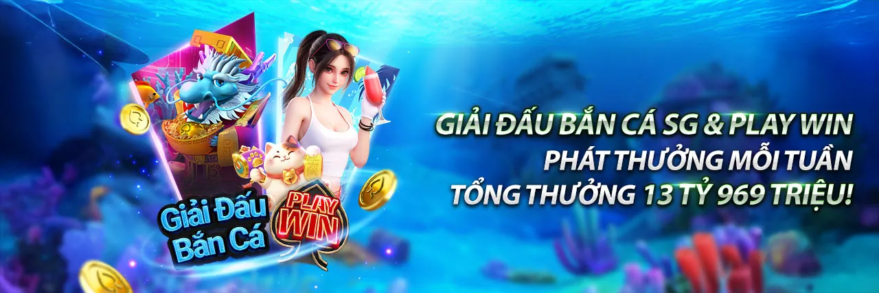 Nền tảng cá cược 555win Live